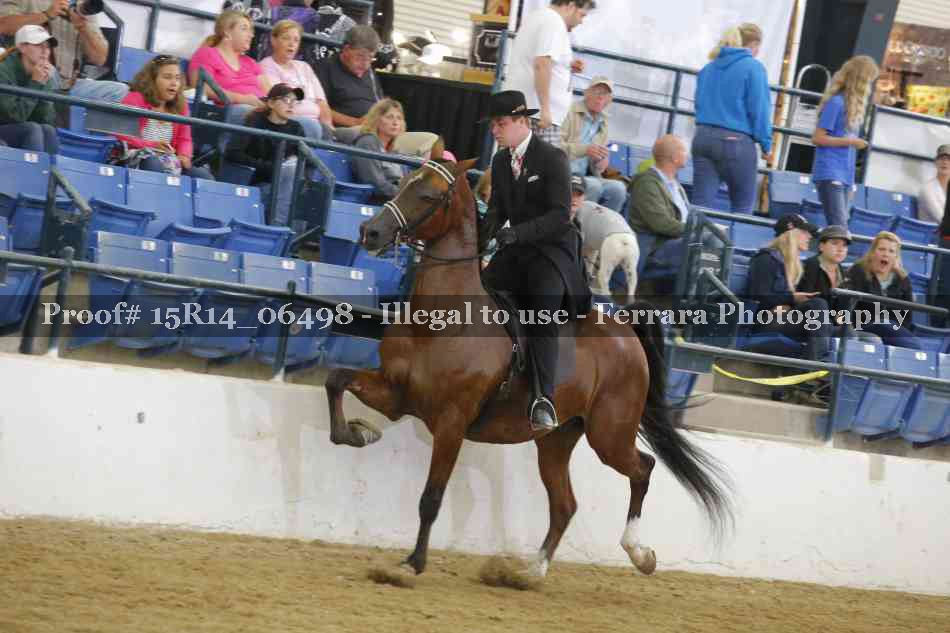 Proof Number 15R14_06498