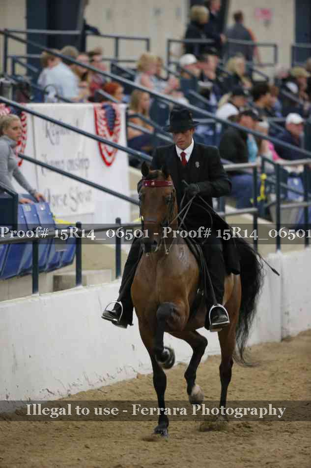 Proof Number 15R14_06501