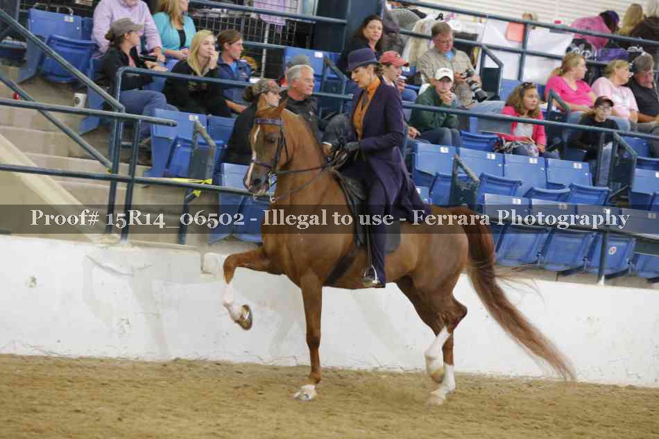 Proof Number 15R14_06502