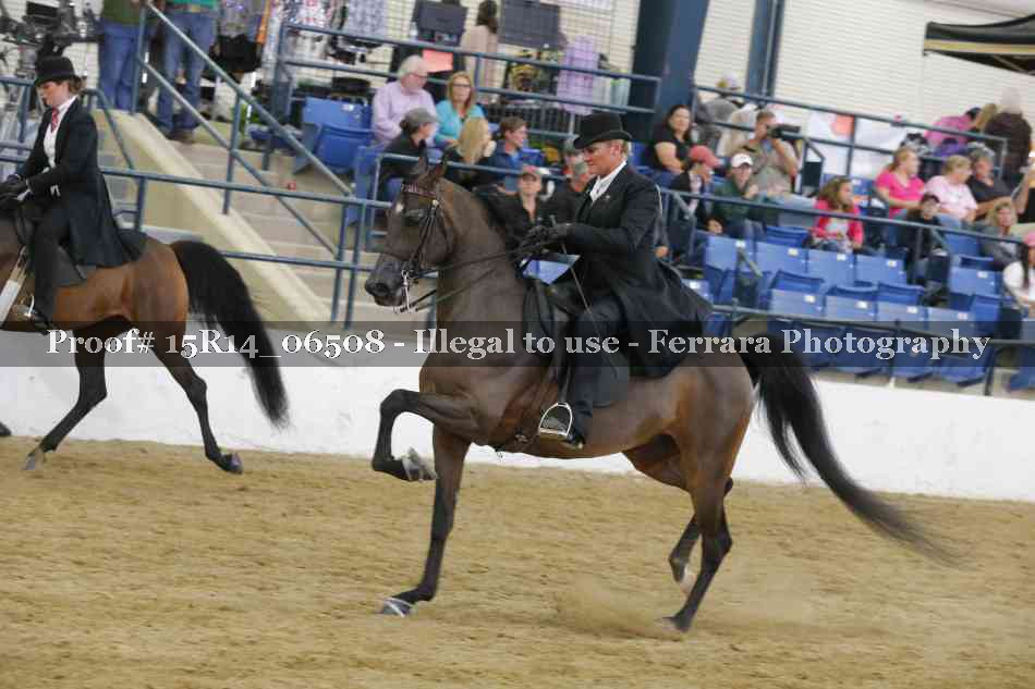 Proof Number 15R14_06508