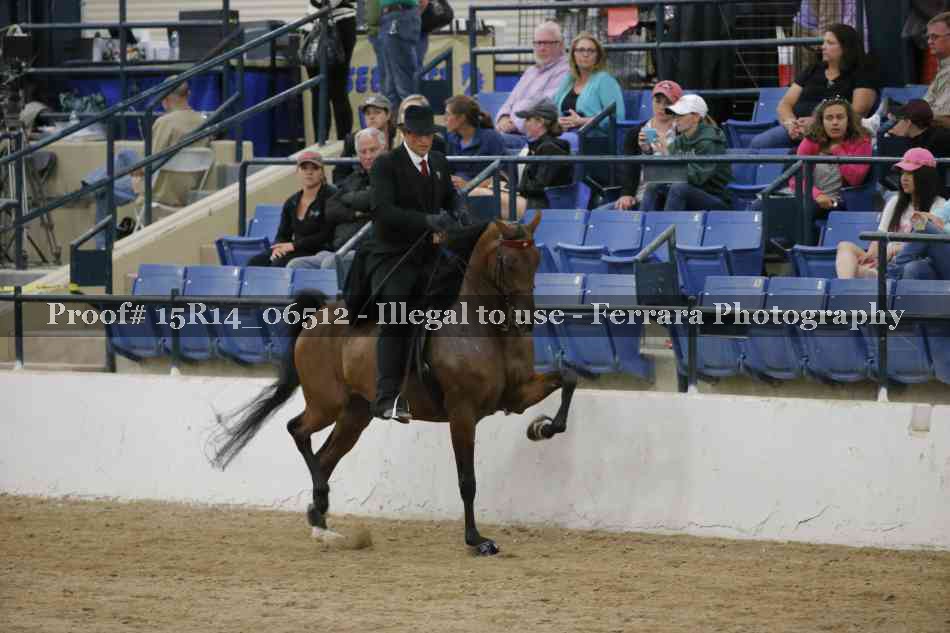 Proof Number 15R14_06512