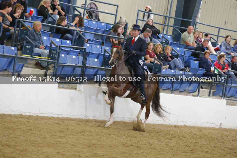 Proof Number 15R14_06513