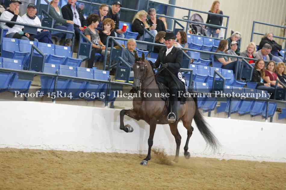Proof Number 15R14_06515