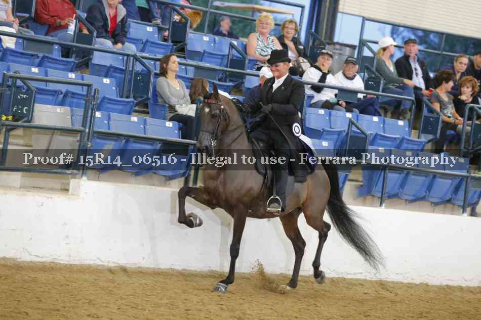 Proof Number 15R14_06516