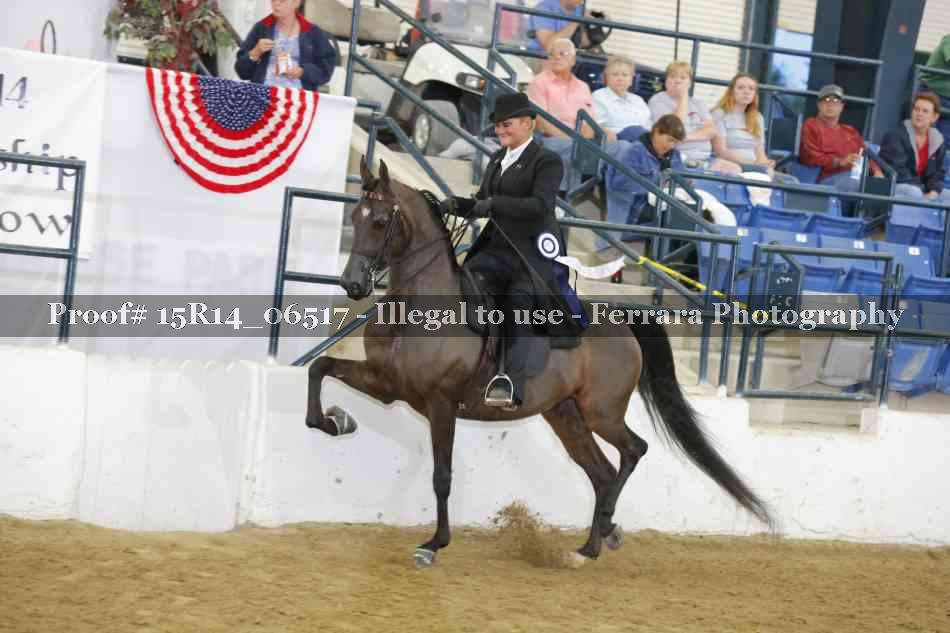 Proof Number 15R14_06517