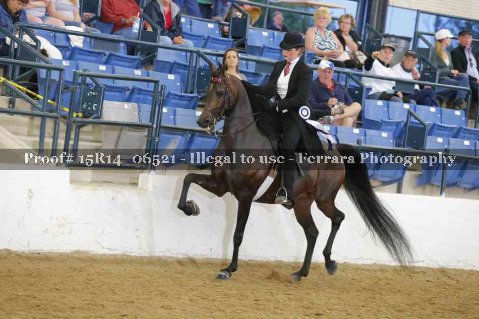 Proof Number 15R14_06521