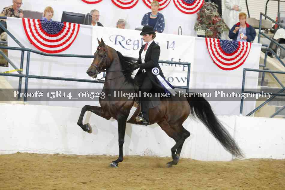 Proof Number 15R14_06523