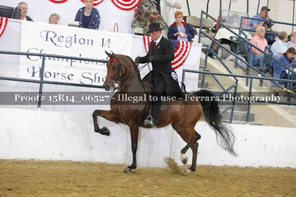 Proof Number 15R14_06527