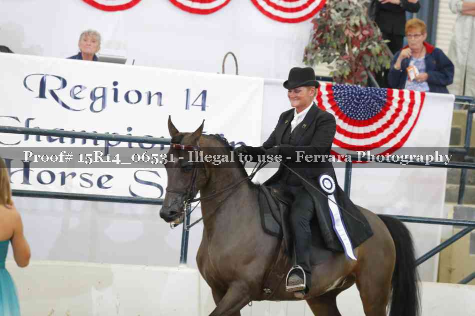 Proof Number 15R14_06531