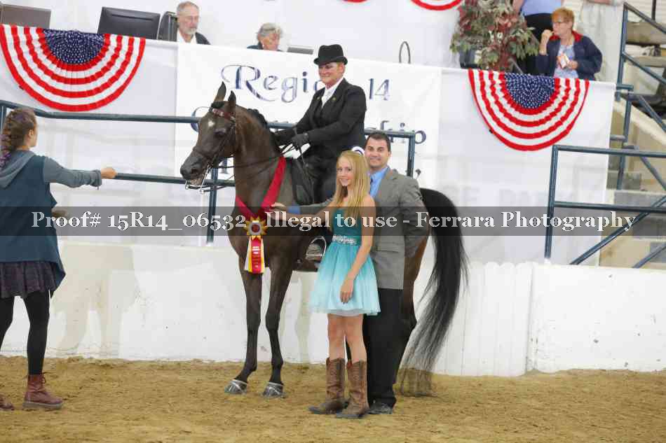 Proof Number 15R14_06532