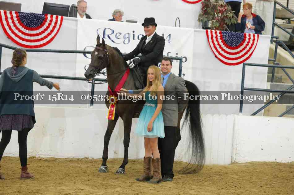 Proof Number 15R14_06533
