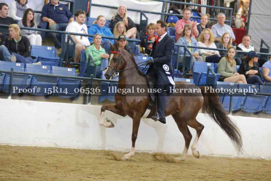 Proof Number 15R14_06536