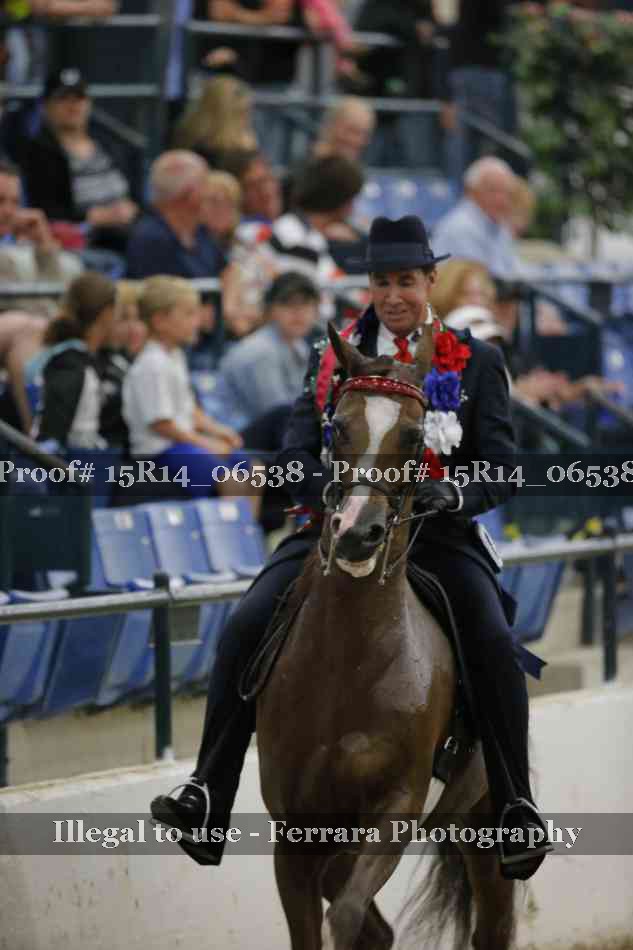 Proof Number 15R14_06538