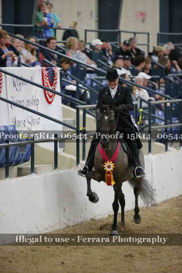 Proof Number 15R14_06544