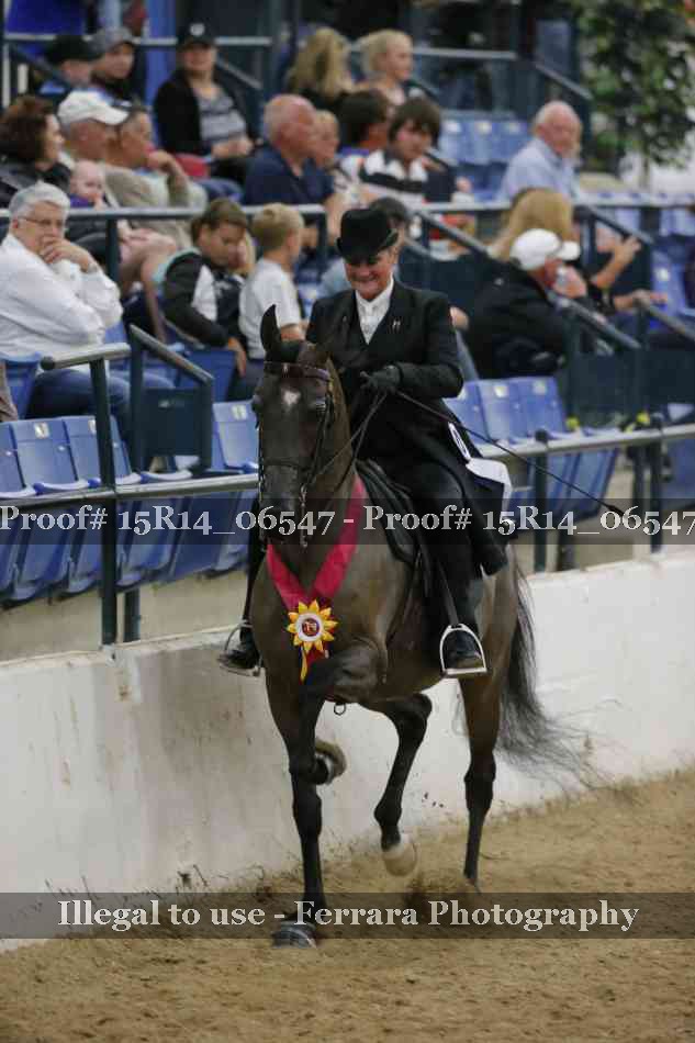 Proof Number 15R14_06547