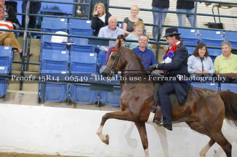 Proof Number 15R14_06549