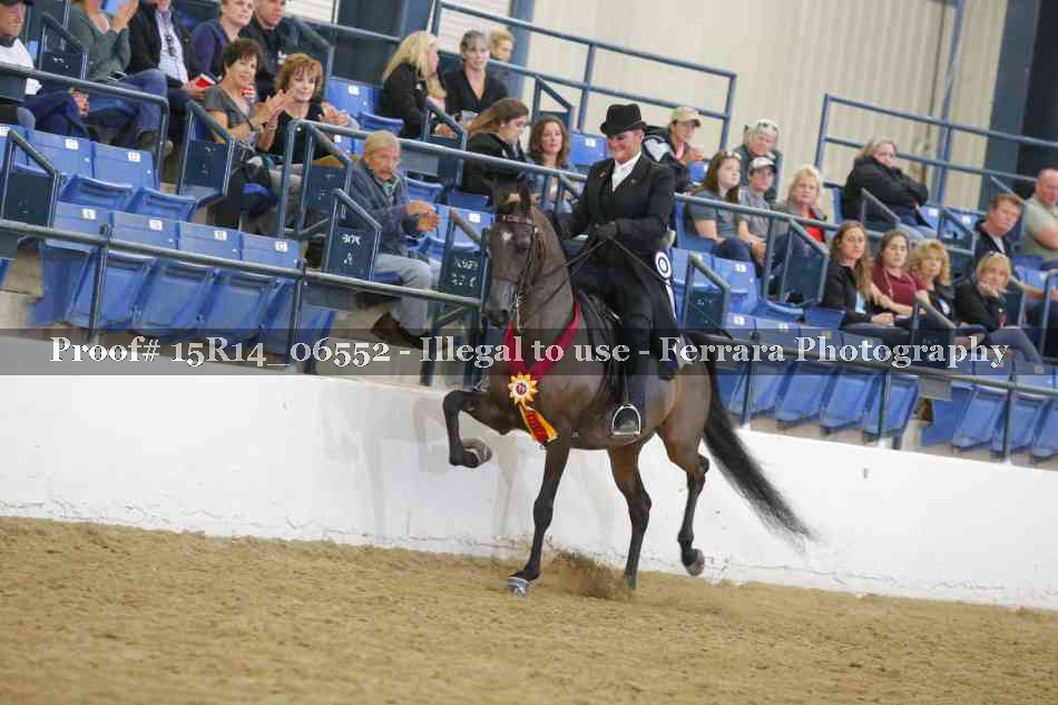 Proof Number 15R14_06552