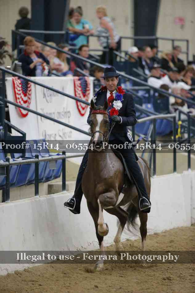 Proof Number 15R14_06554
