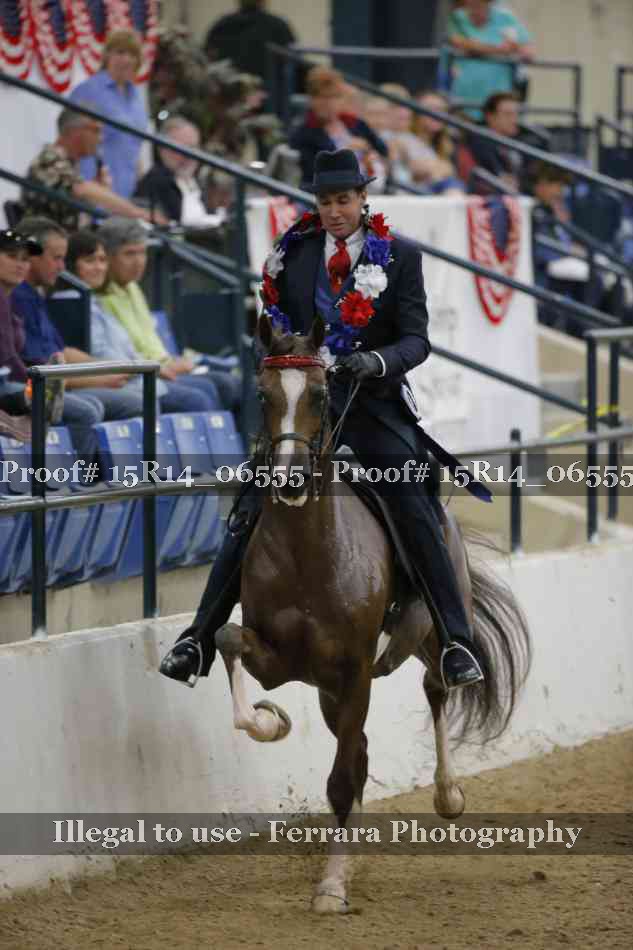 Proof Number 15R14_06555