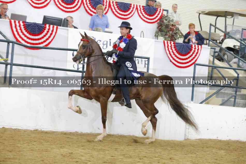 Proof Number 15R14_06563