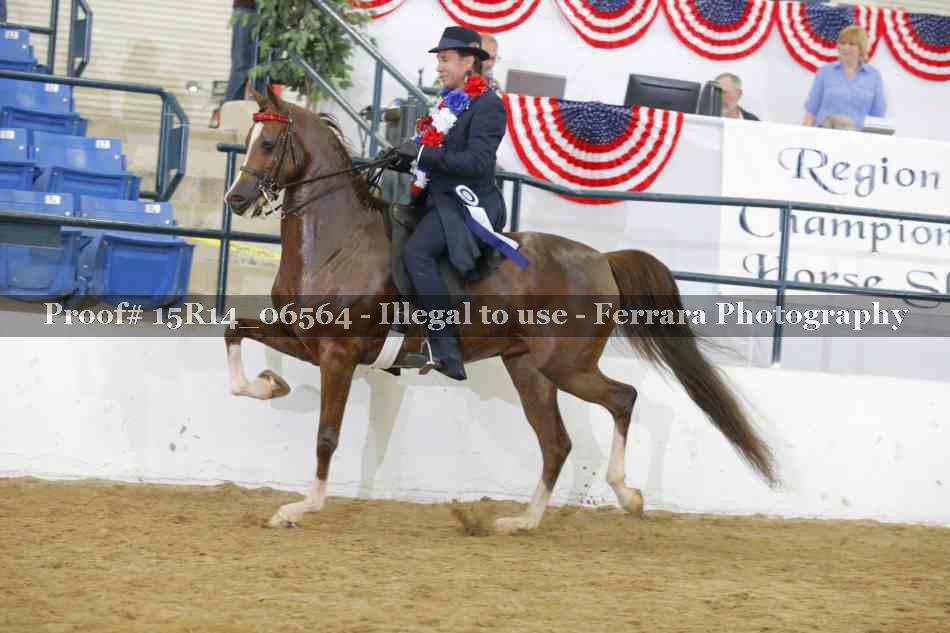 Proof Number 15R14_06564