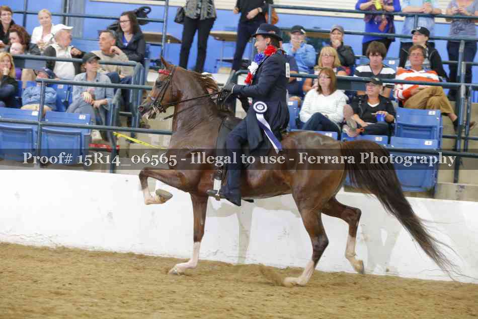 Proof Number 15R14_06565