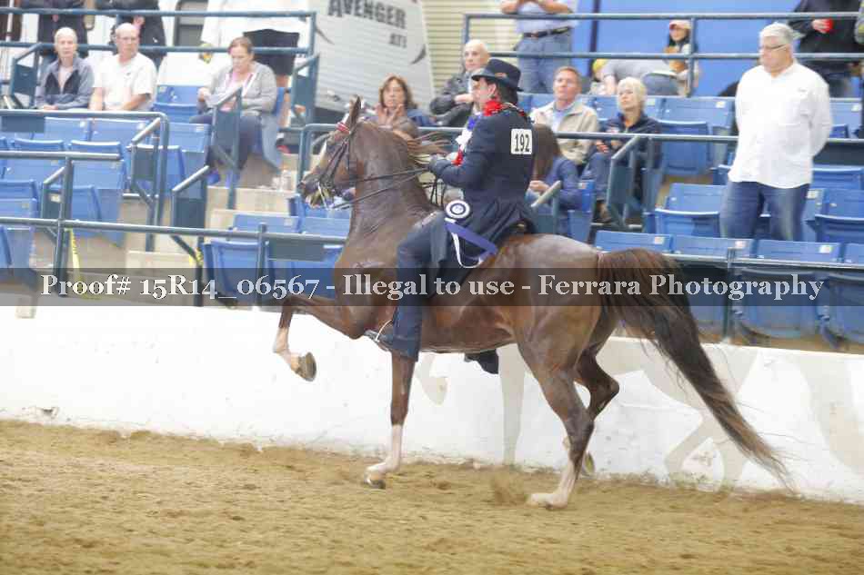 Proof Number 15R14_06567
