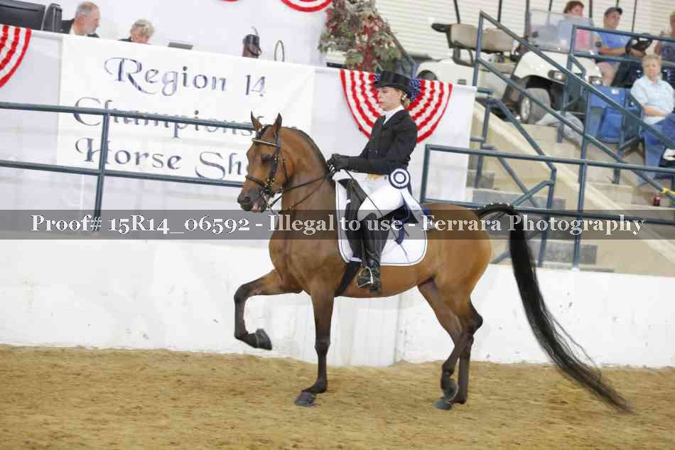 Proof Number 15R14_06592
