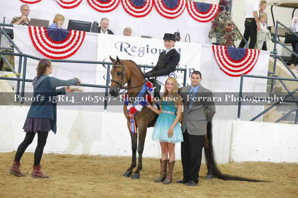 Proof Number 15R14_06599
