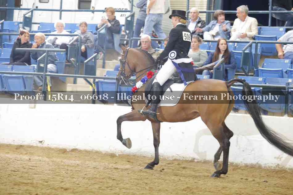 Proof Number 15R14_06618