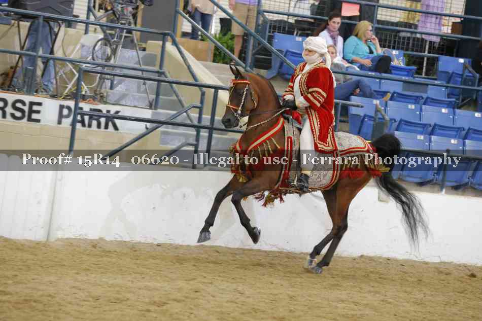 Proof Number 15R14_06620