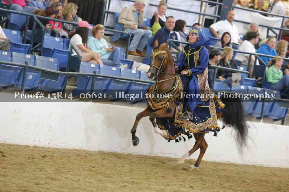 Proof Number 15R14_06621