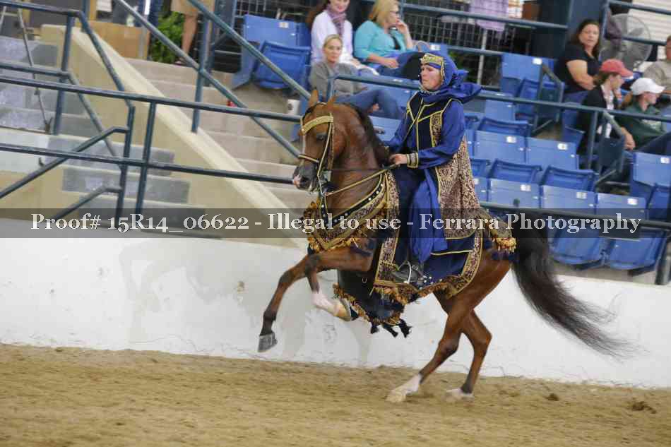 Proof Number 15R14_06622