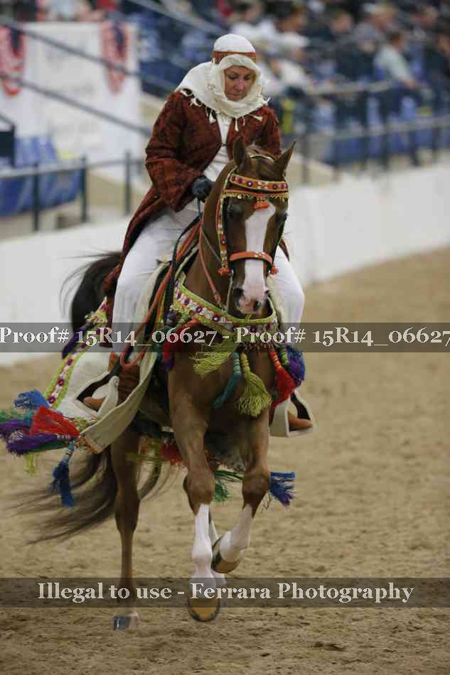 Proof Number 15R14_06627