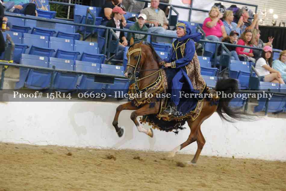 Proof Number 15R14_06629