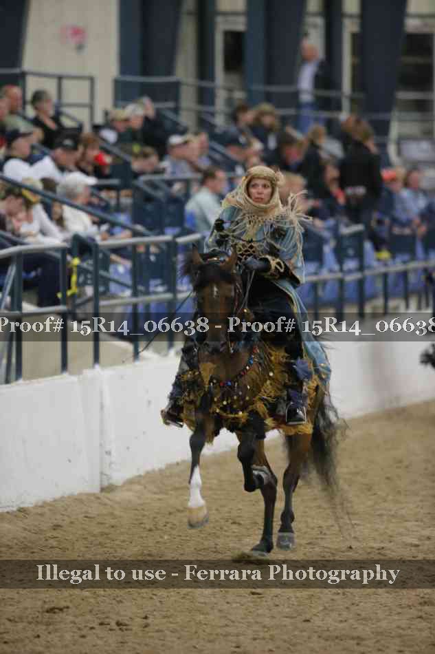 Proof Number 15R14_06638