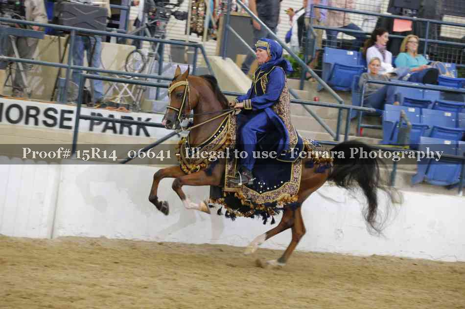 Proof Number 15R14_06641