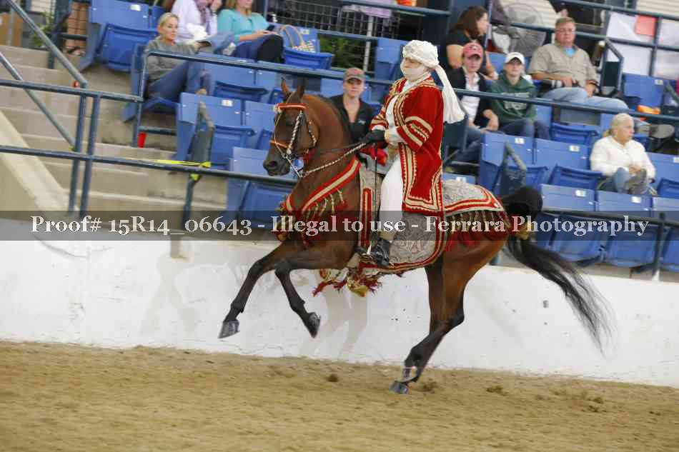 Proof Number 15R14_06643