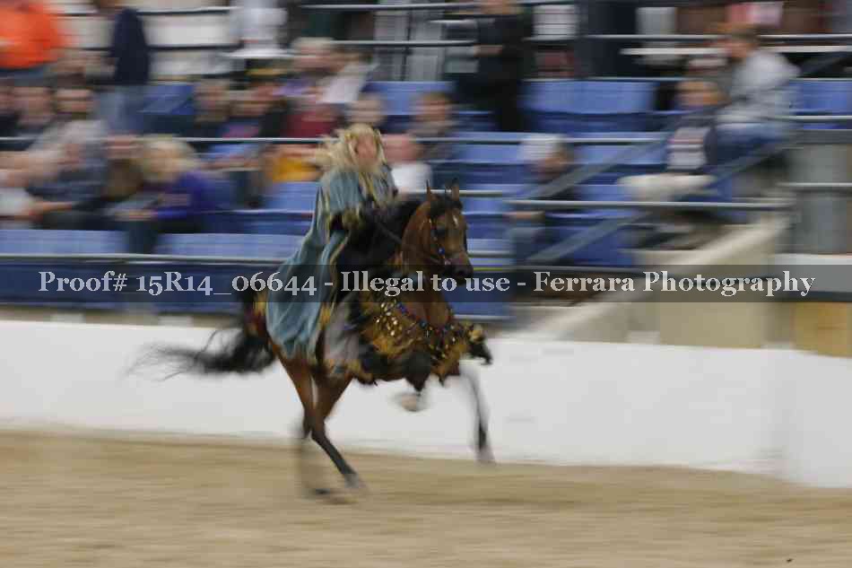 Proof Number 15R14_06644