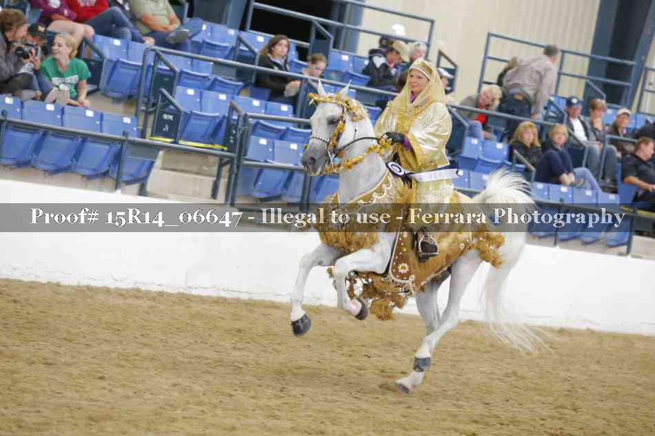 Proof Number 15R14_06647