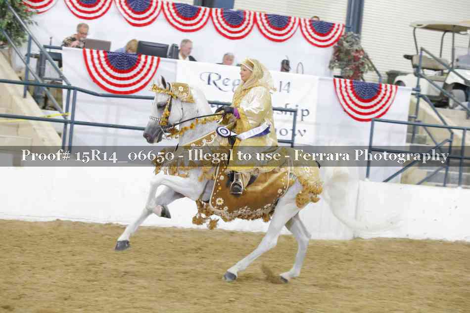 Proof Number 15R14_06650
