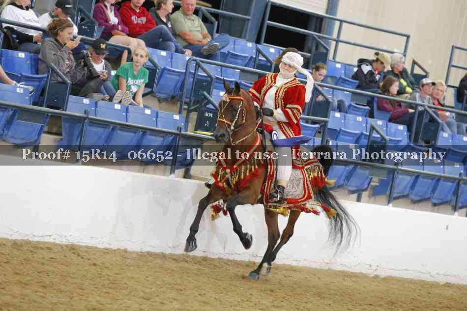 Proof Number 15R14_06652