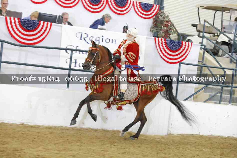 Proof Number 15R14_06655