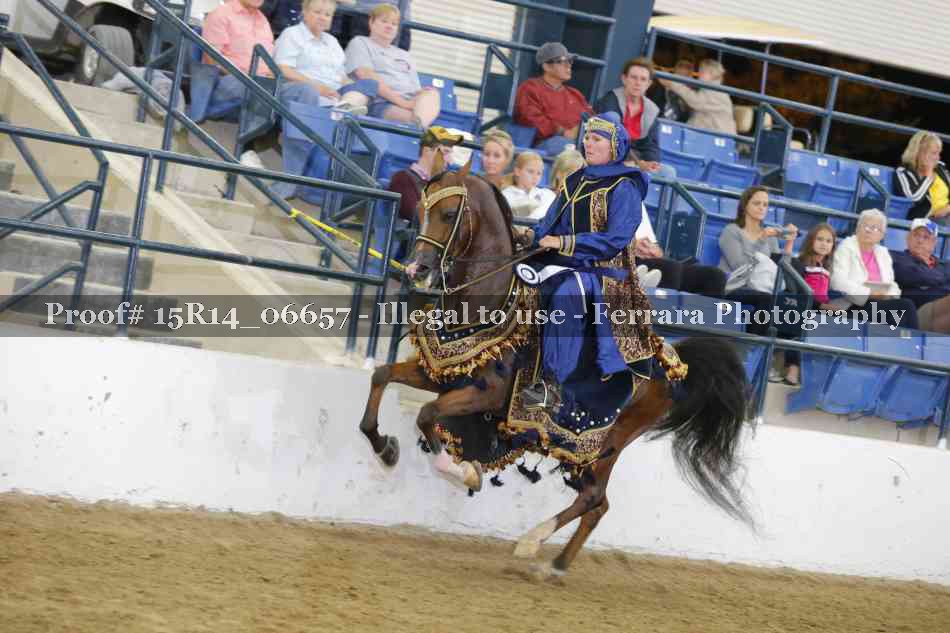 Proof Number 15R14_06657