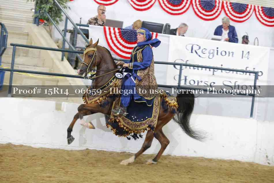 Proof Number 15R14_06659