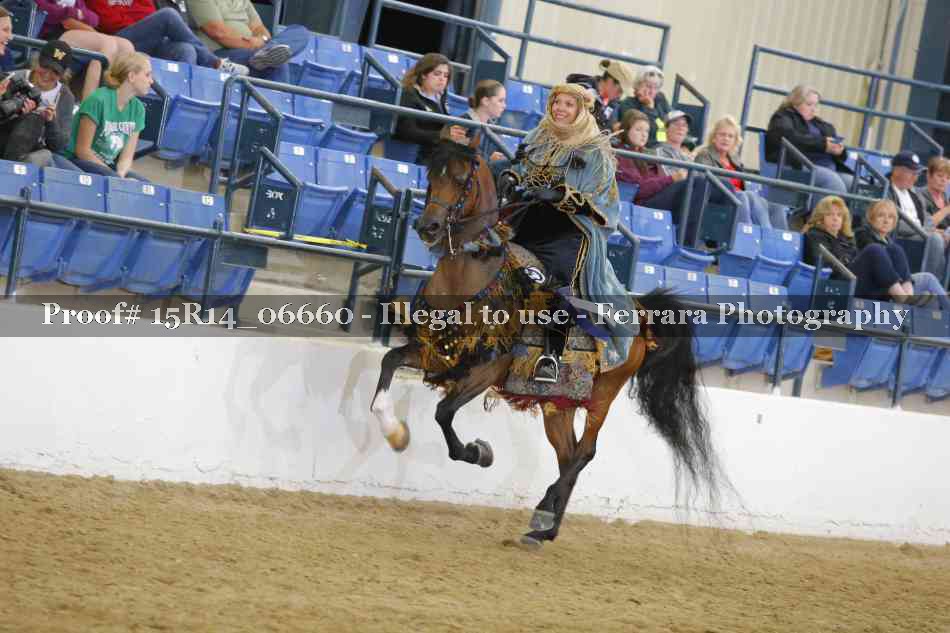 Proof Number 15R14_06660