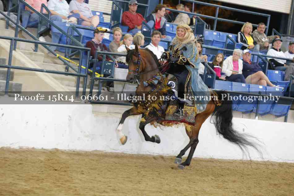 Proof Number 15R14_06661