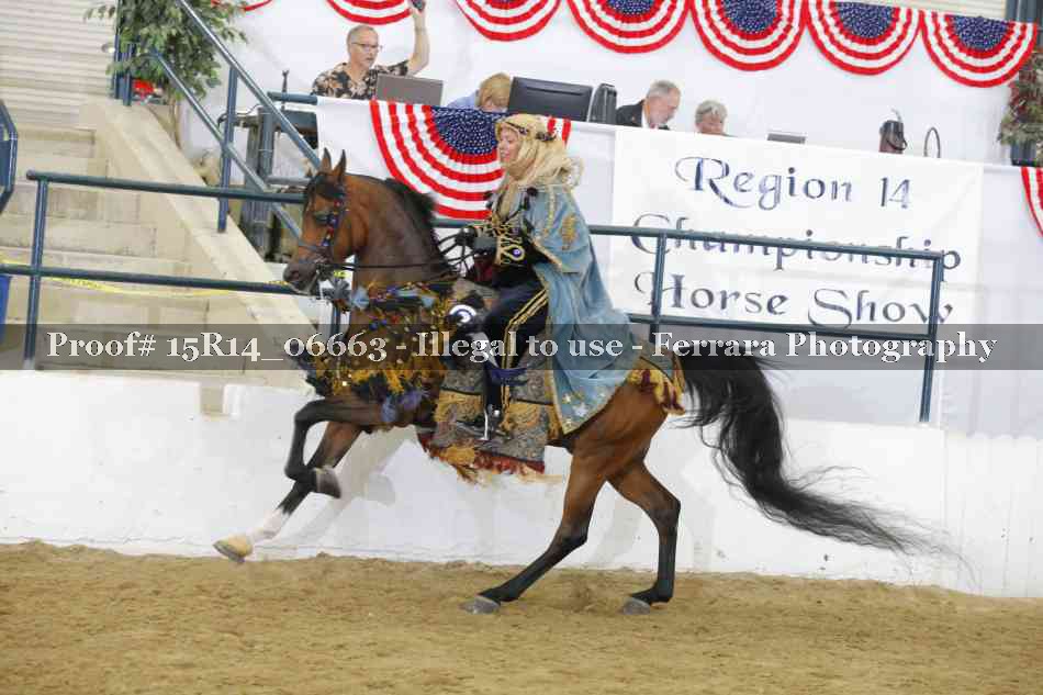 Proof Number 15R14_06663
