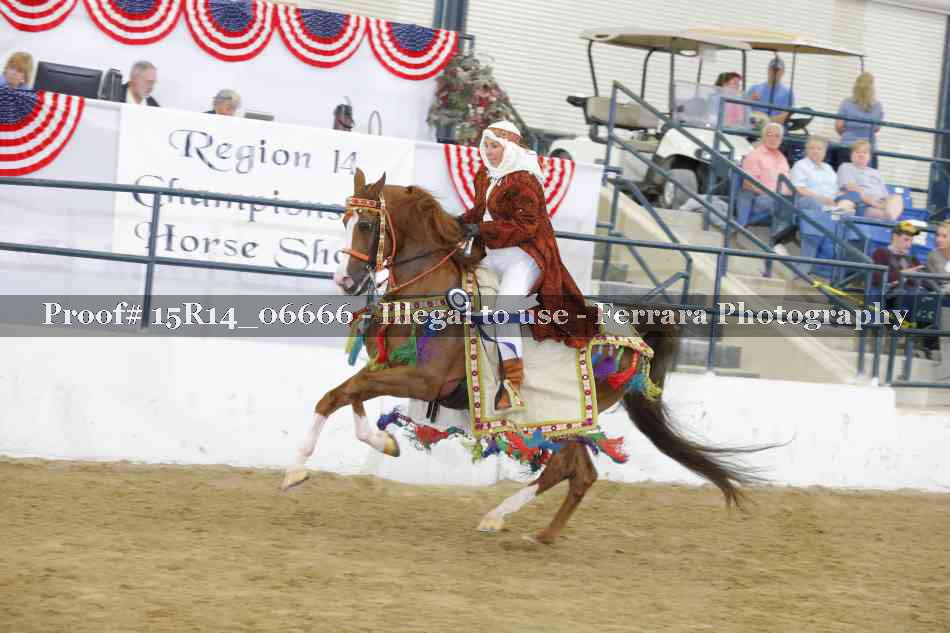 Proof Number 15R14_06666