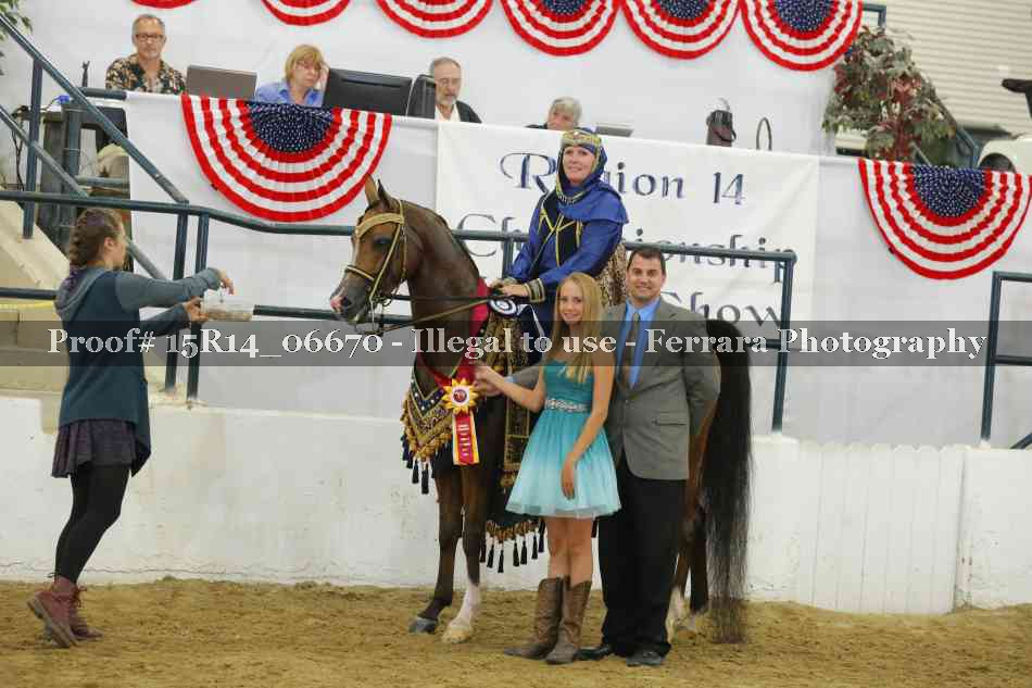 Proof Number 15R14_06670